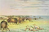 George Catlin Stalking Buffalo painting